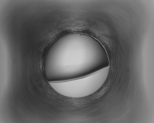 X0000111511300200907141056