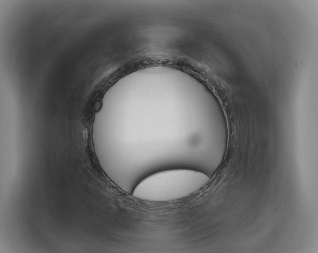 X0000111511302200907141056