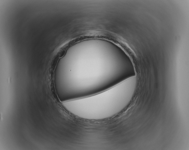 X0000111511304200907141056