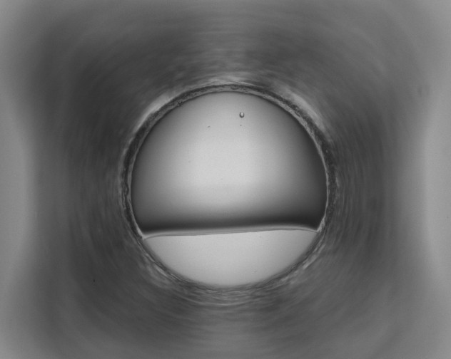 X0000111511308200907141056