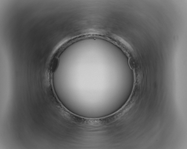 X0000111511310200907141056