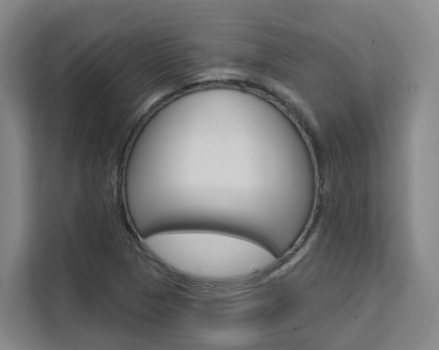 X0000111511313200907141056
