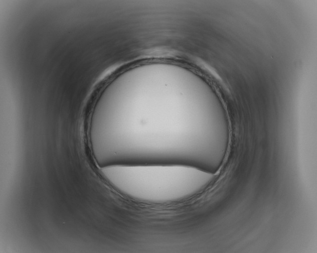 X0000111511315200907141056