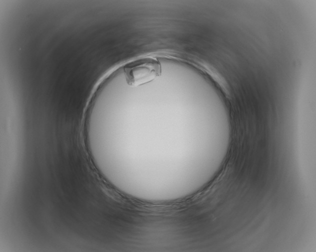 X0000111511316200907141056