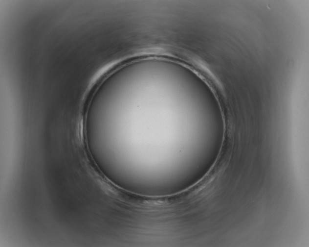 X0000111511320200907141056