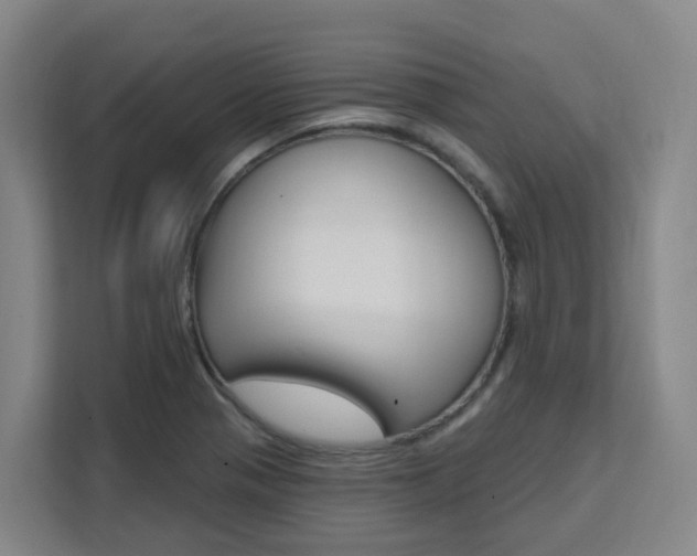 X0000111511321200907141056