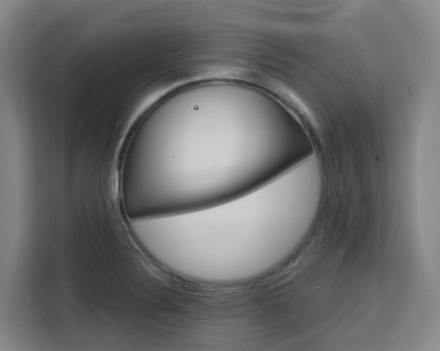 X0000111511324200907141056