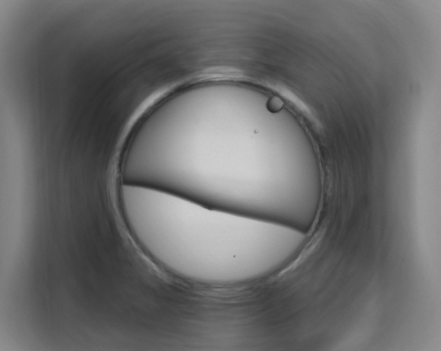 X0000111511325200907141056