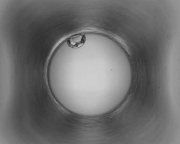X0000111511326200907141056