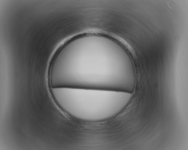 X0000111511327200907141056