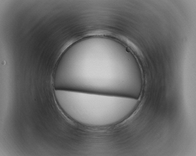 X0000111511329200907141056