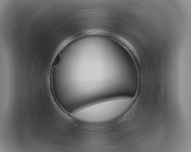 X0000111511330200907141056