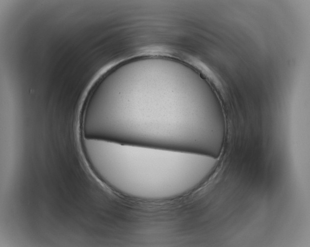 X0000111511331200907141056