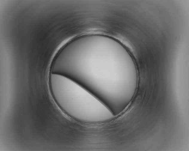 X0000111511333200907141056