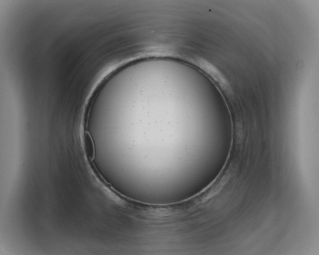 X0000111511334200907141056