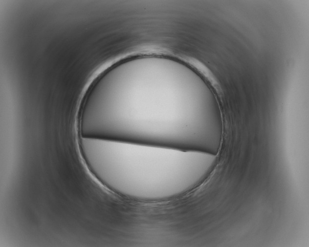 X0000111511335200907141056