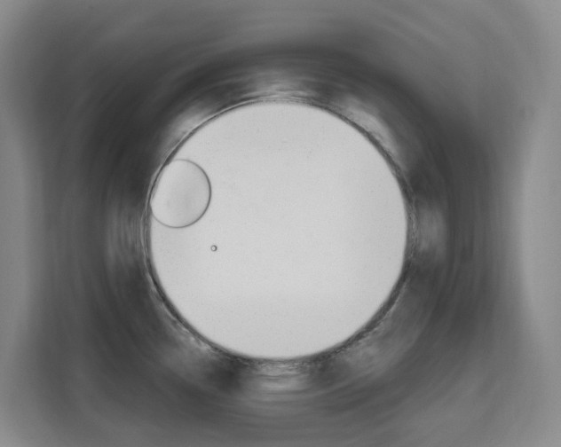 X0000111511338200907141056