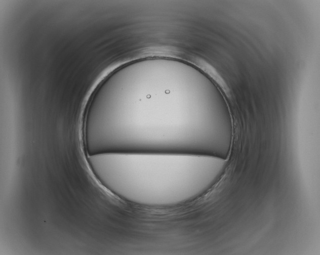 X0000111511339200907141056