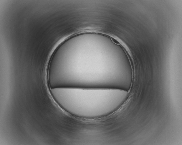 X0000111511341200907141056