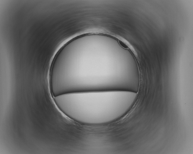 X0000111511343200907141056