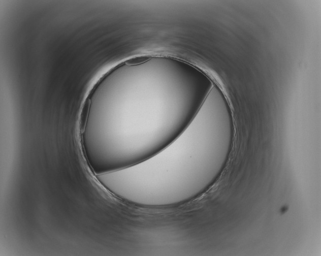 X0000111511344200907141056