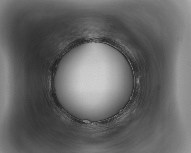 X0000111511348200907141056