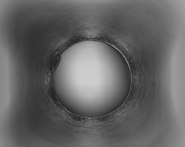 X0000111511349200907141056
