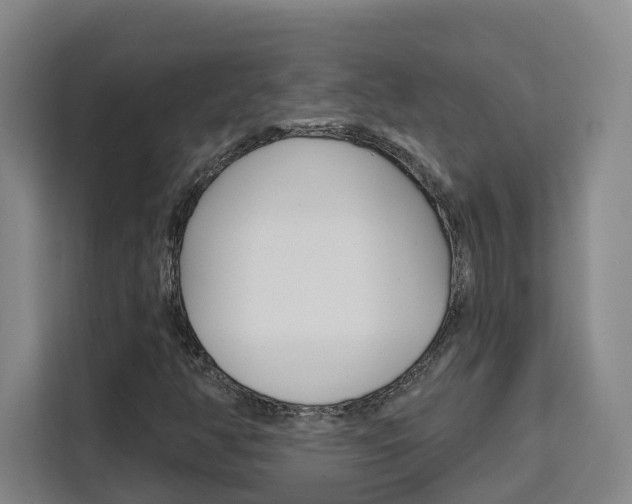 X0000111511350200907141056