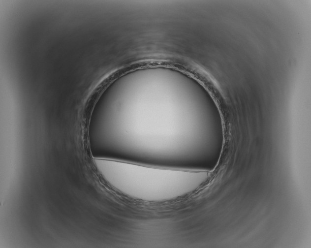 X0000111511352200907141055
