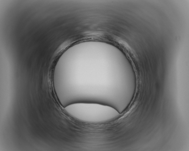 X0000111511354200907141055