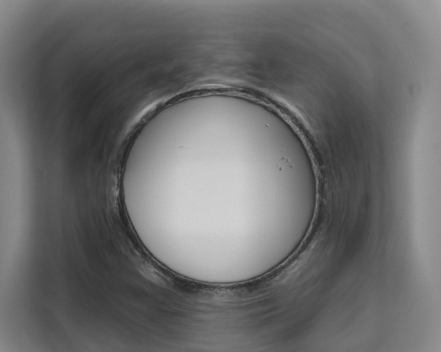 X0000111511355200907141055
