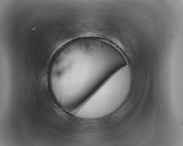 X0000111511356200907141055