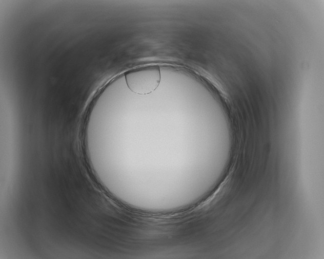 X0000111511357200907141055