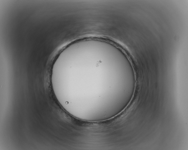 X0000111511359200907141055