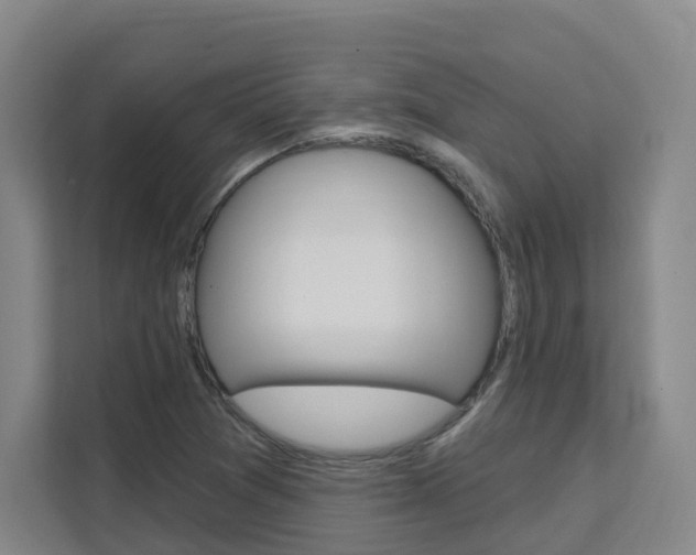 X0000111511361200907141055