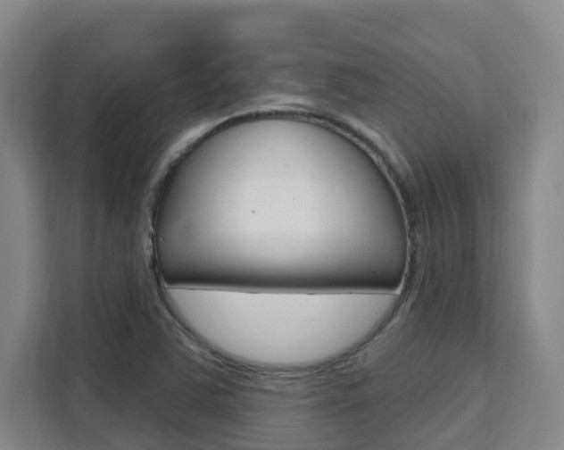 X0000111511363200907141055