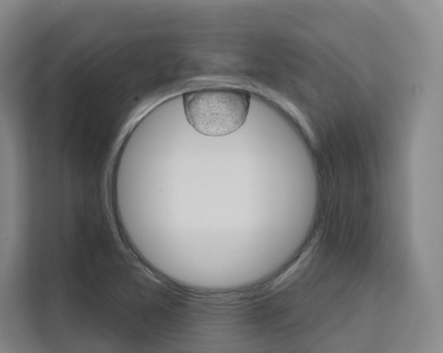 X0000111511365200907141055