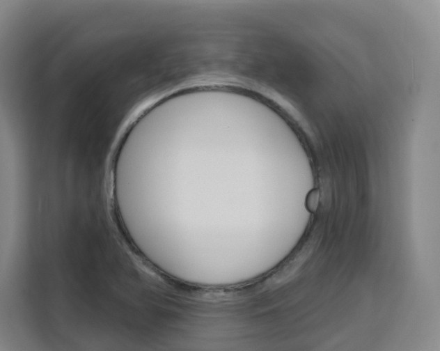 X0000111511366200907141055