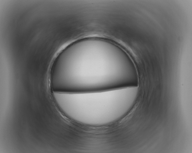 X0000111511367200907141055
