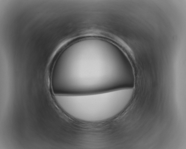 X0000111511368200907141055