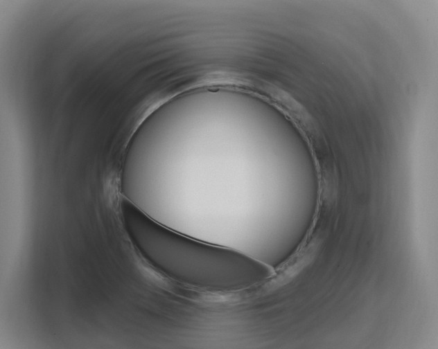 X0000111511369200907141055