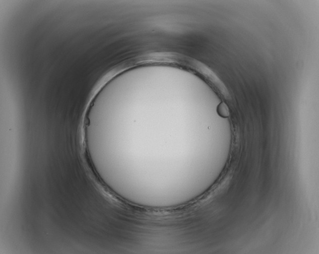 X0000111511370200907141055