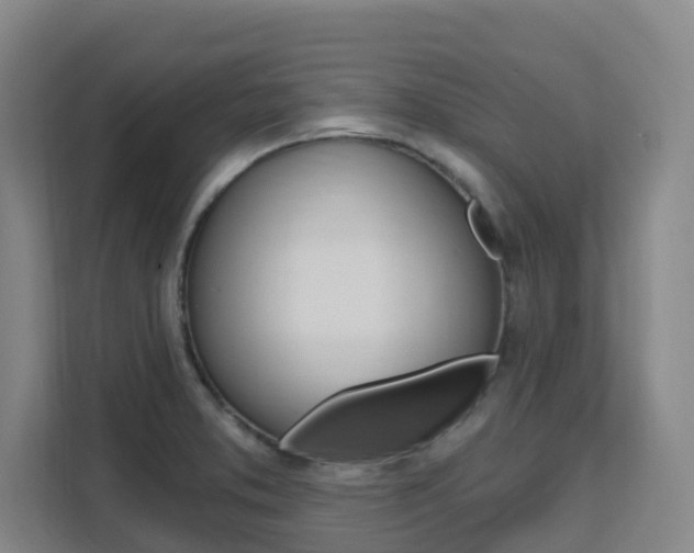X0000111511373200907141055