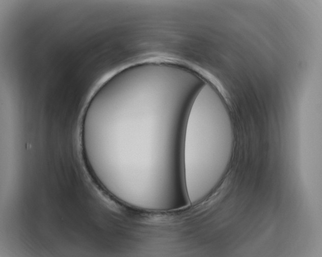 X0000111511375200907141055