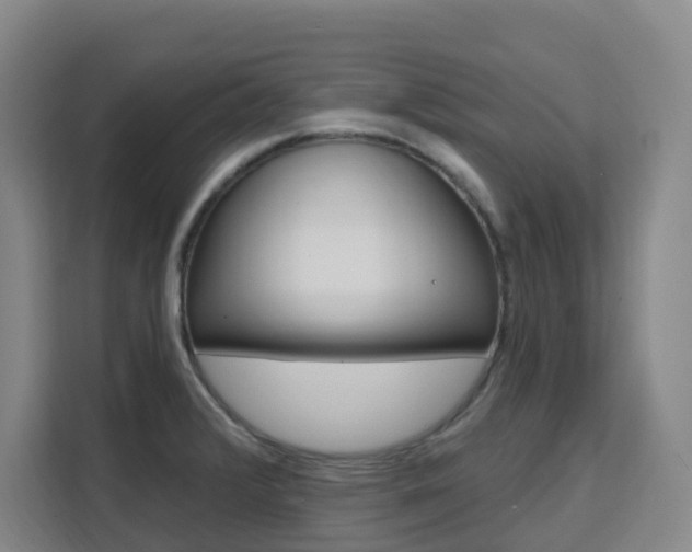 X0000111511376200907141055