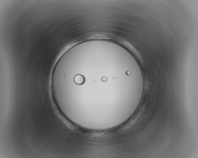 X0000111511378200907141055