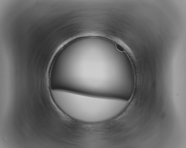 X0000111511380200907141055