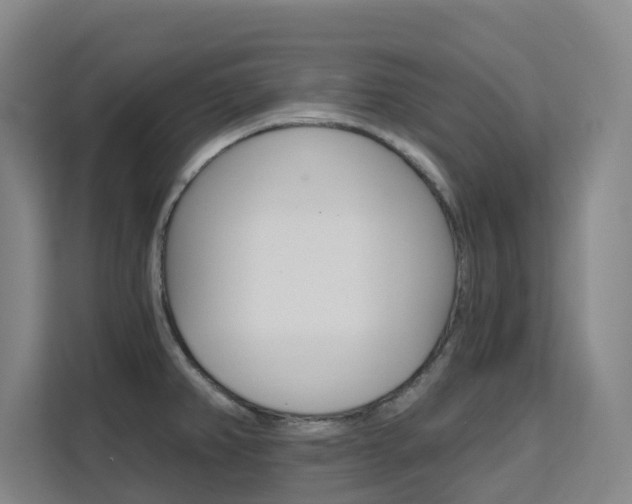 X0000111511382200907141055