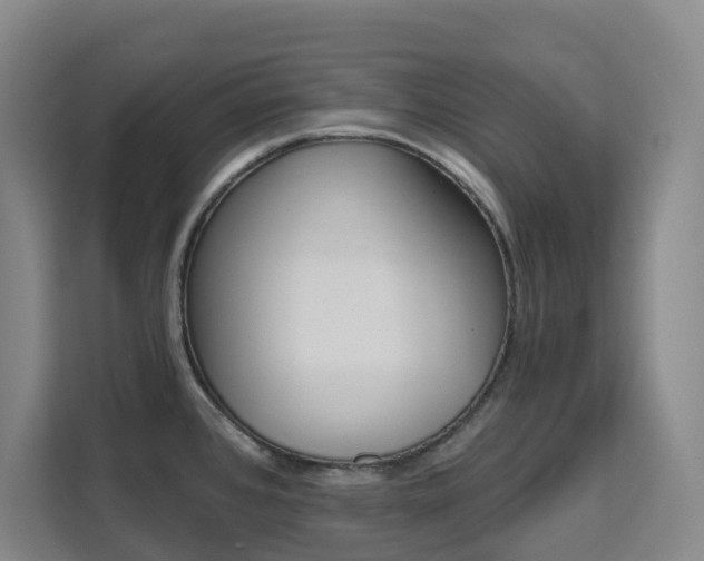 X0000111511384200907141055