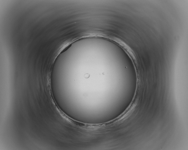 X0000111511385200907141055